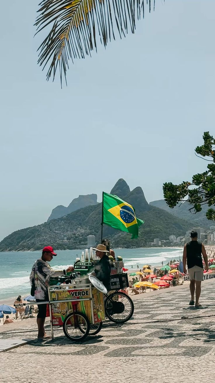 bandera brasileña carrito