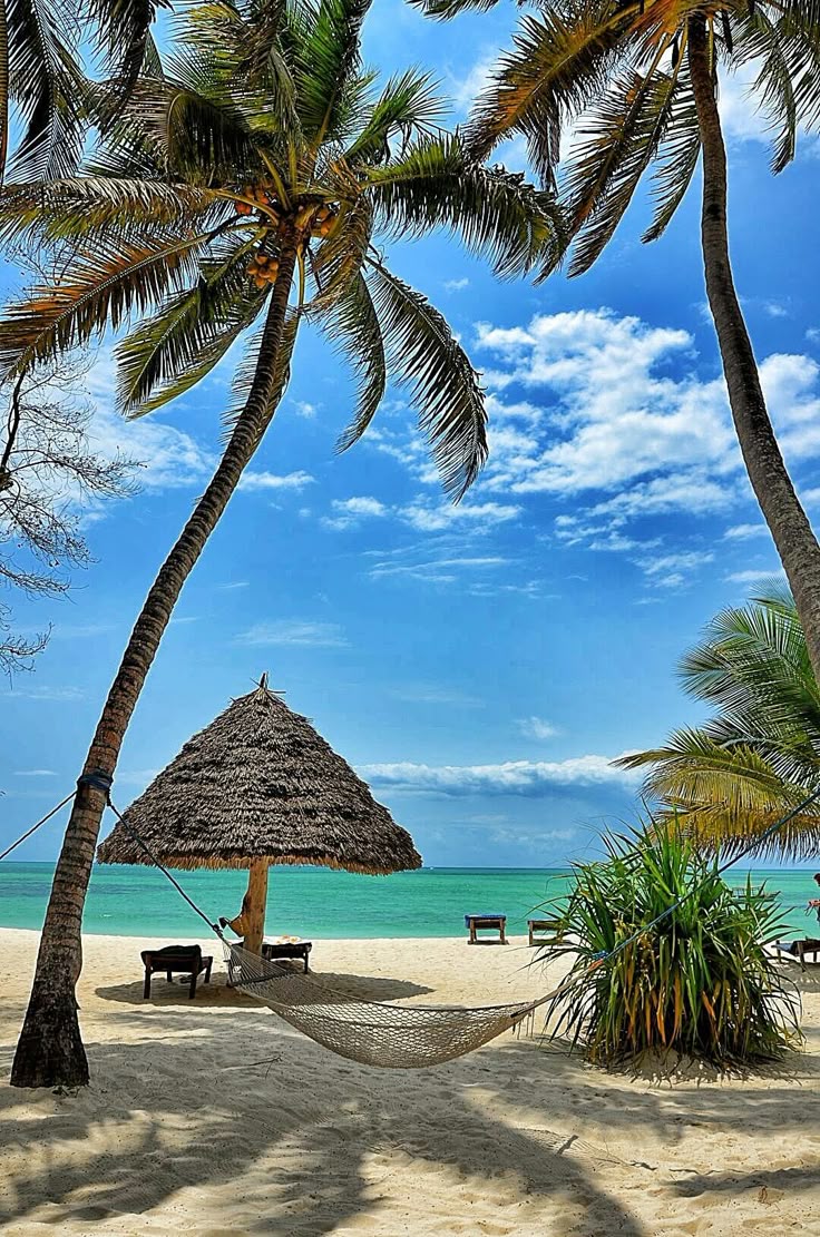 Pongwe beach, Zanzibar_ #TravelAfrica #Zanzibar paisaje-japon2